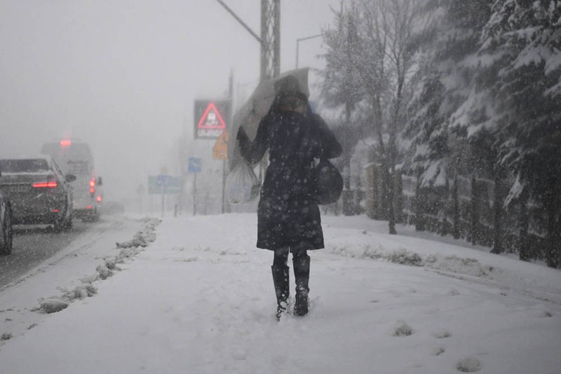 Sniezyca Na Podkarpaciu 11 Tysiecy Gospodarstw Bez Pradu Strefa Opadow Nasuwa Sie Nad Podlasie Polska Agencja Prasowa Sa