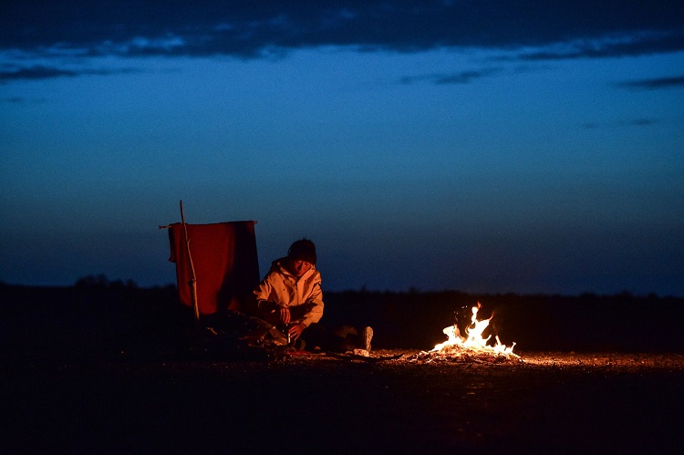 Tam, gdzie nic nie rośnie