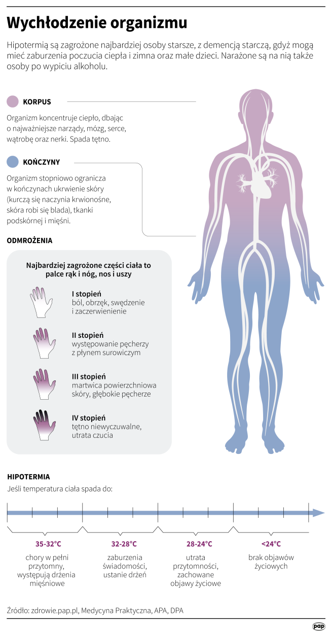 Wychłodzenie organizmu / PAP infografika / Maria Samczuk , Adam Ziemienowicz