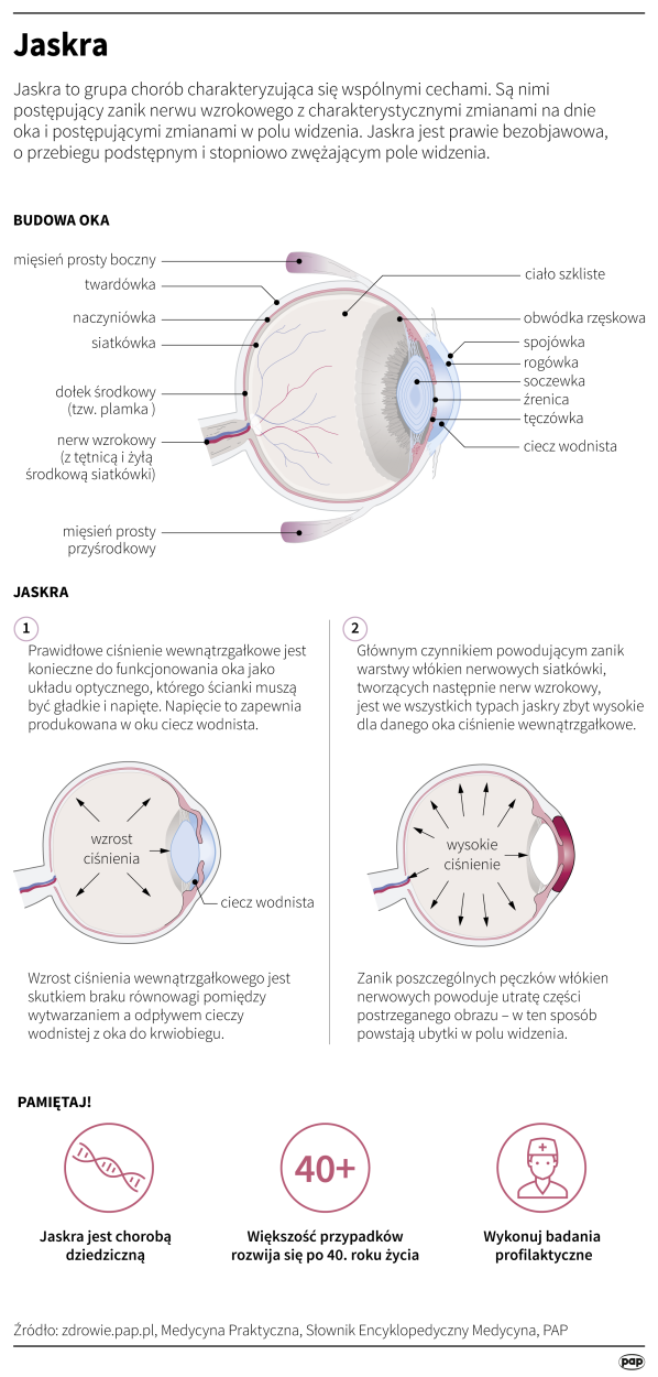 Fot. PAP/Infografika/Maria Samczuk