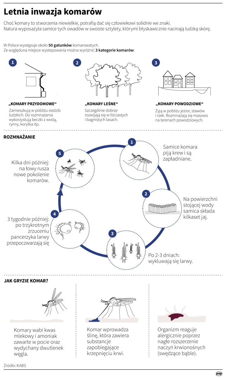 PAP/Adam Ziemienowicz, Maria Smczuk