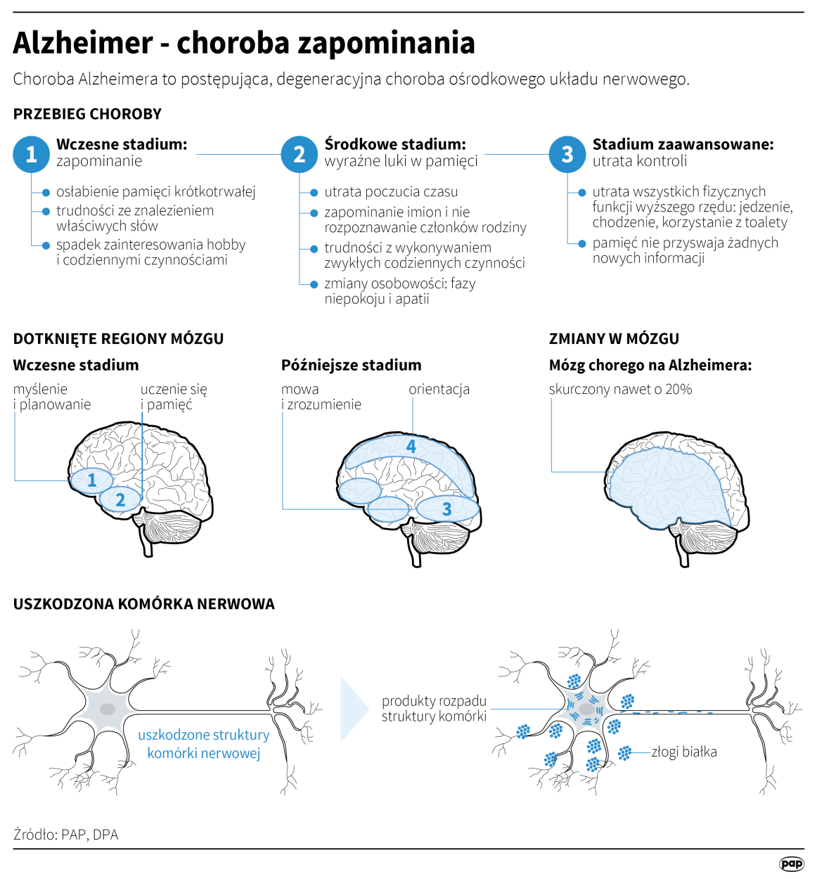 PAP/Infografika/Maciej Zieliński