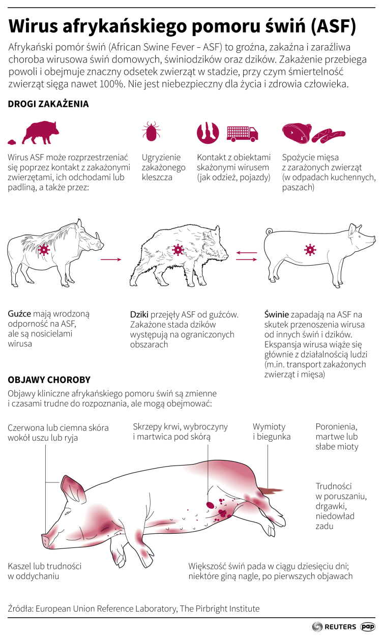 Infografika PAP/Maciej Zieliński