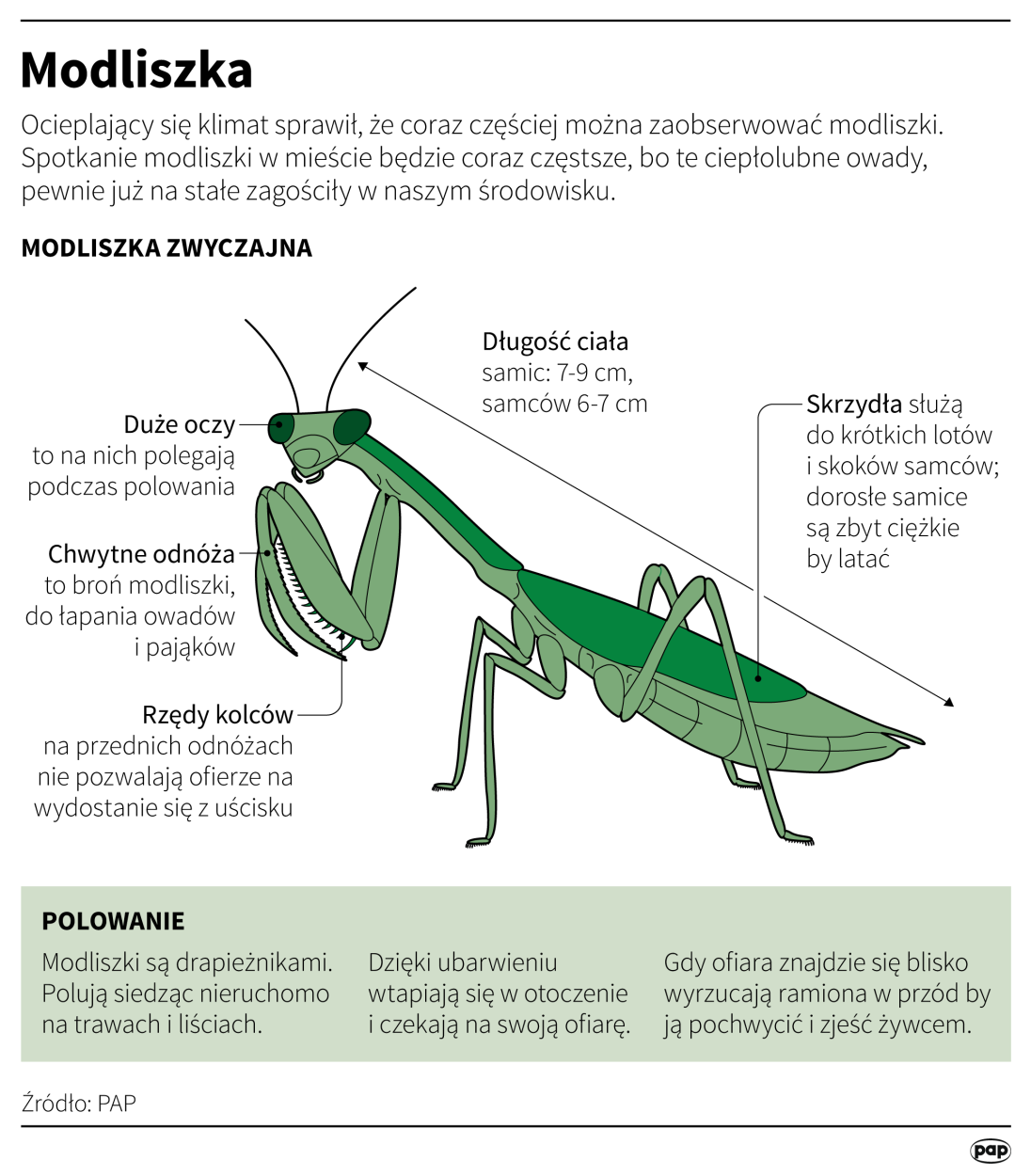 PAP/ Maciej Zieliński