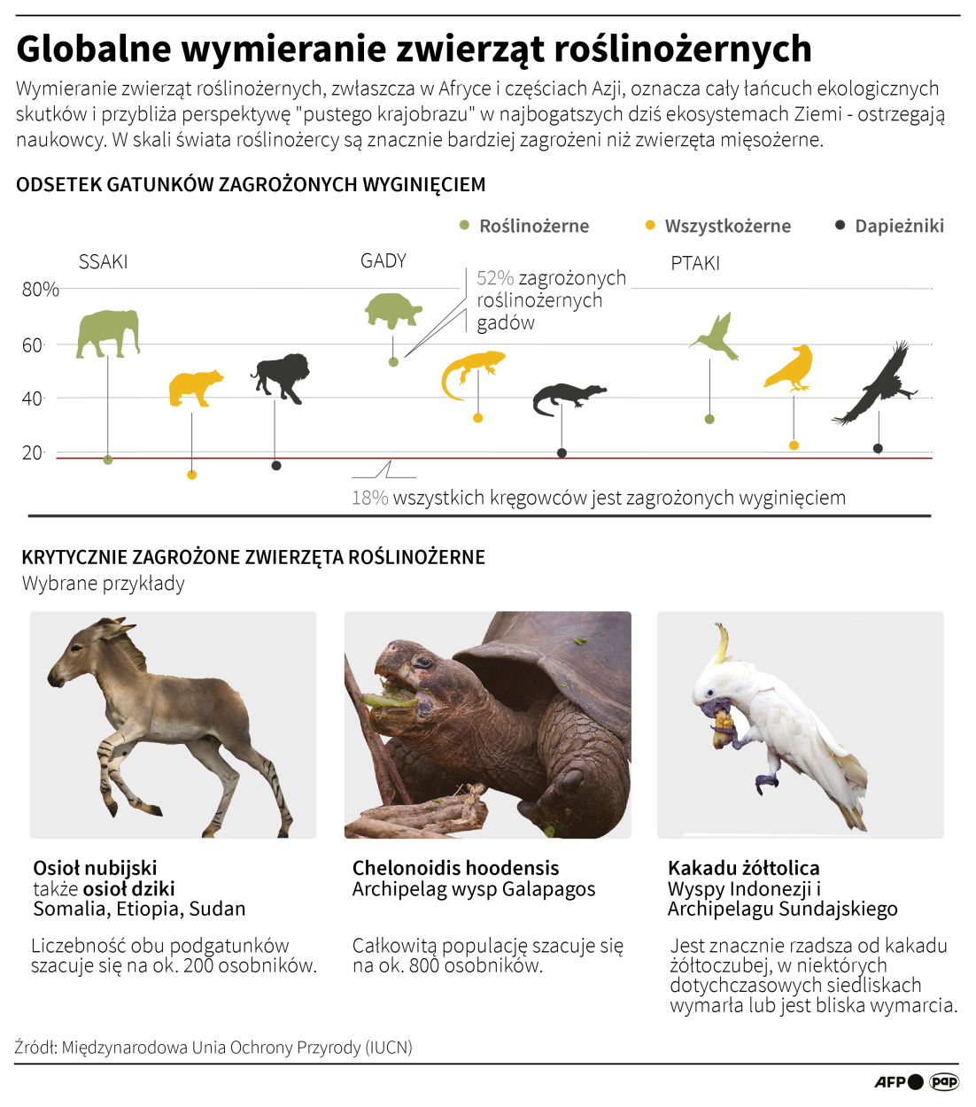 Infografika PAP/Adam Ziemienowicz