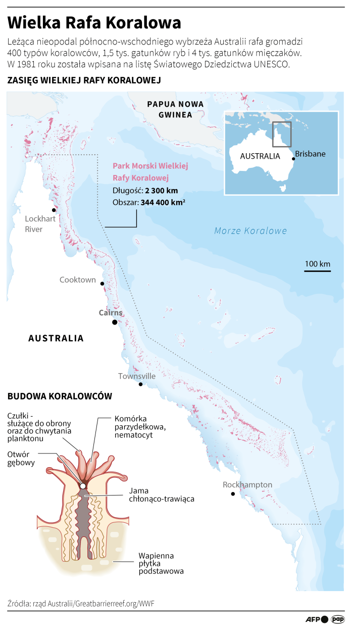 Wielka Rafa Koralowa Fot. PAP/Infografika/Adam Ziemienowicz