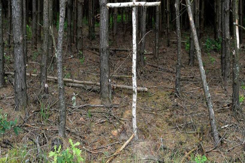 Brzozowy krzyż na skraju lasu przy tzw. trupim polu w rejonie wsi Ostrówki na Ukrainie, Fot. PAP/Darek Delmanowicz