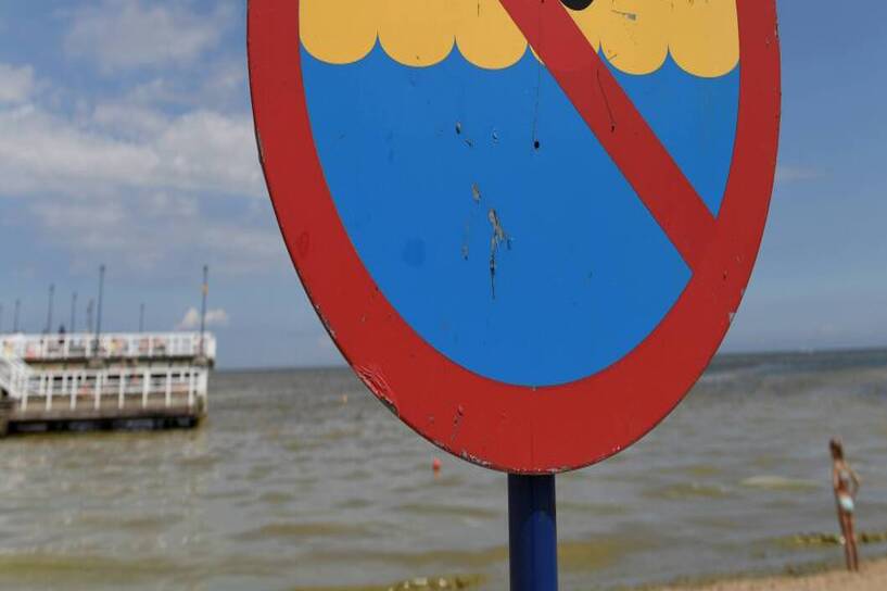 Sinice stanowią poważne zagrożenie w okresie letnim. Fot. PAP/Adam Warżawa