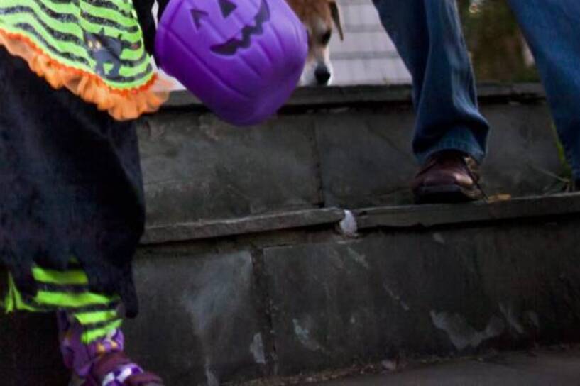 Dziewczynka zbierająca słodycze na Halloween. Fot. JIM LO SCALZO PAP/EPA