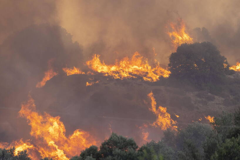 Pożary w Grecji. Fot. PAP/DPA/Christoph Reichwein