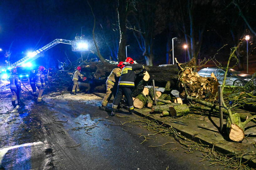 Zniszczenia po burzach w Wilamowicach. Fot. 	PAP/Marcin Bielecki (zdjęcie ilustracyjne)