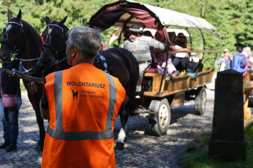Badanie koni na Polanie Włosienica w Tatrach Fot. PAP/Grzegorz Momot 