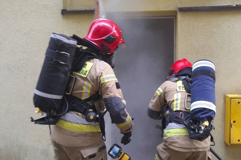 Przyczyny pożaru będzie wyjaśniała policja i biegły z zakresu pożarnictwa. Fot. F/Komenda Powiatowa PSP w Pruszczu Gdańskim (zdjęcie ilustracyjne)