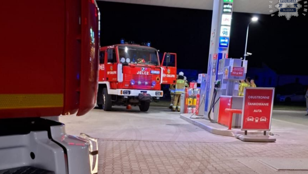 Interwencja policjantów. Fot. Śląska Policja