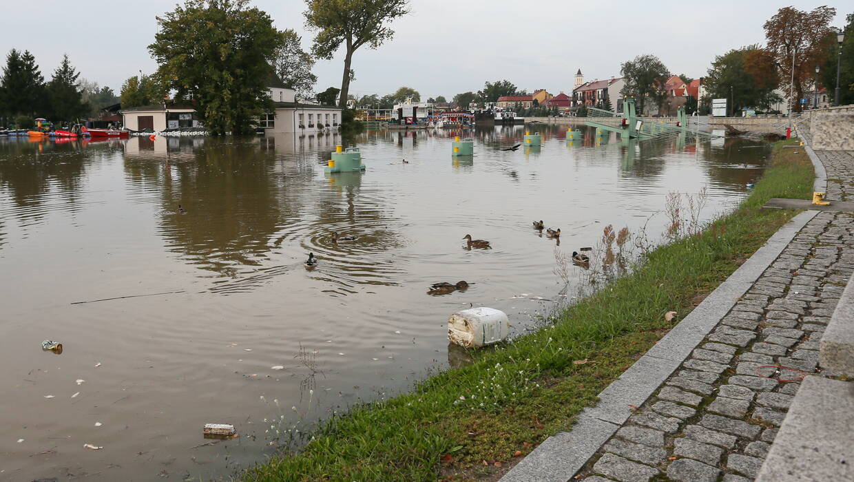 Wysoki stan wody w Odrze. Fot. PAP/Lech Muszyński