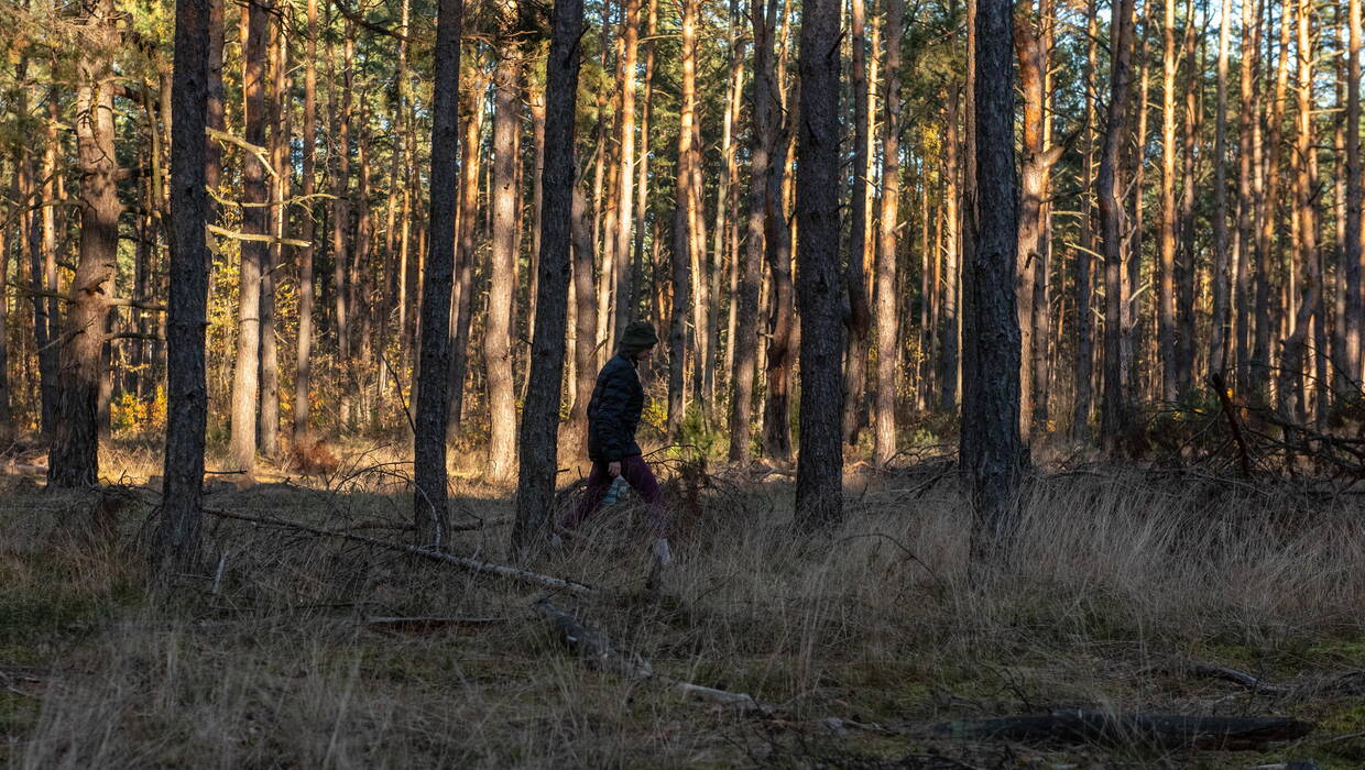 Grzybiarze w lesie. Fot. PAP/Wojtek Jargiło