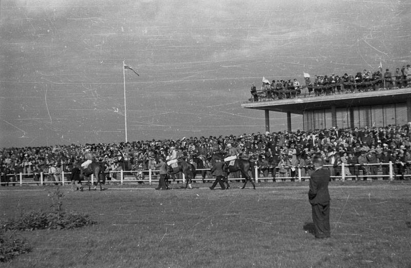 Warszawa, 1947-09-01. Pierwsze powojenne derby na torze wyścigów konnych na Służewcu. Nz. prezentacja koni na padoku