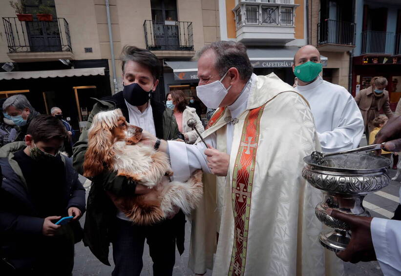 Święcenie zwierząt z okazji dnia św. Antoniego. Fot. PAP/EPA/DAVID FERNANDEZ