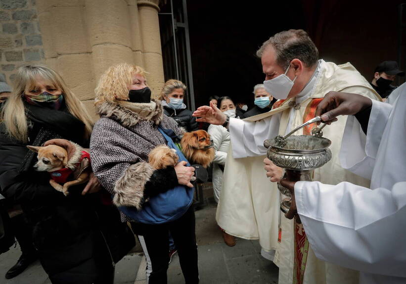 Święcenie zwierząt z okazji dnia św. Antoniego. Fot. PAP/EPA/DAVID FERNANDEZ