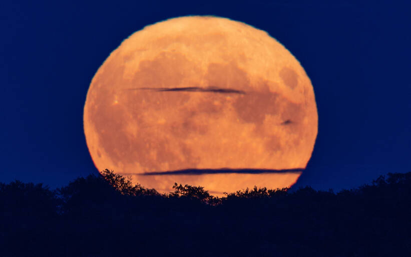 Sierpniowa pełnia Księżyca w Niemczech, fot. PAP/DPA/Jens Büttner