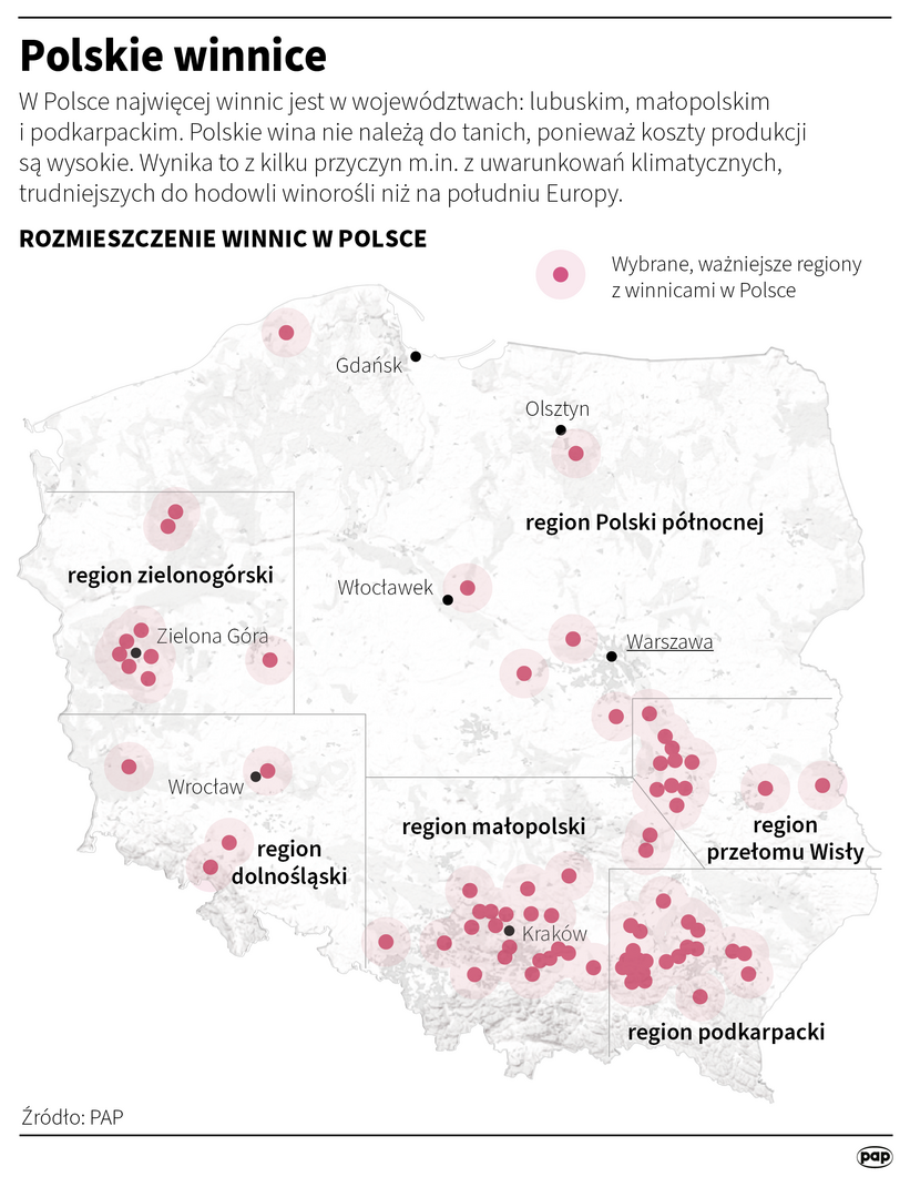 Winnice w Polsce, PAP/Adam Ziemienowicz