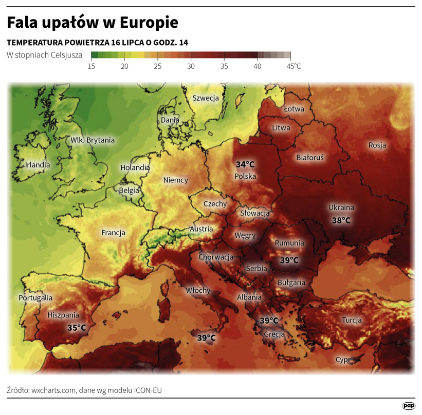 Autor: Maciej Zieliński/PAP