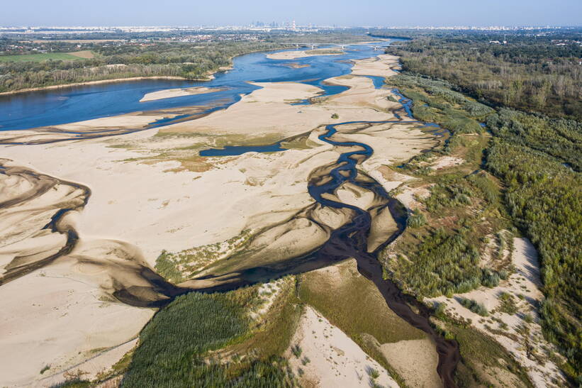 Według IMGW susza hydrologiczna osiągnęła swój maksymalny zasięg w tym roku. Fot. PAP/Leszek Szymański 