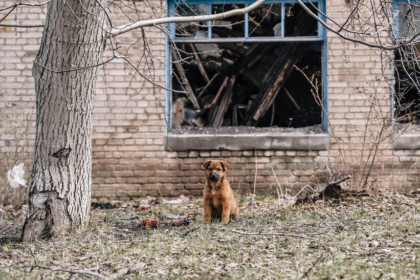 Украина. Часов Яр. Fot. PAP/Vladyslav Karpovych