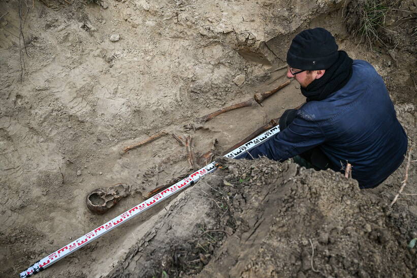 Nagie szkielety kilku osób odkopano na terenie gospodarstwa w gm. Dębowa Kłoda. Fot. PAP/Wojtek Jargiło