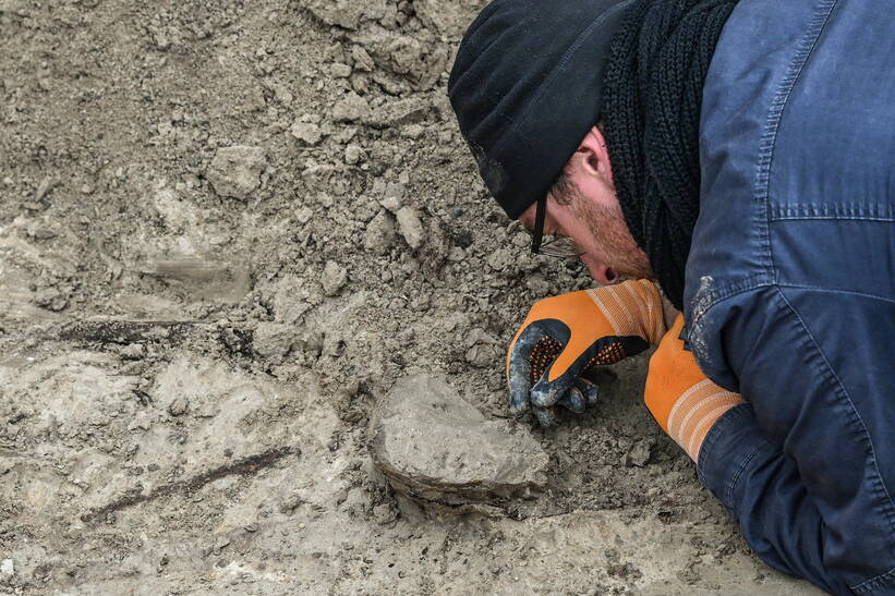 Nagie szkielety kilku osób odkopano na terenie gospodarstwa w gm. Dębowa Kłoda. Fot. PAP/Wojtek Jargiło