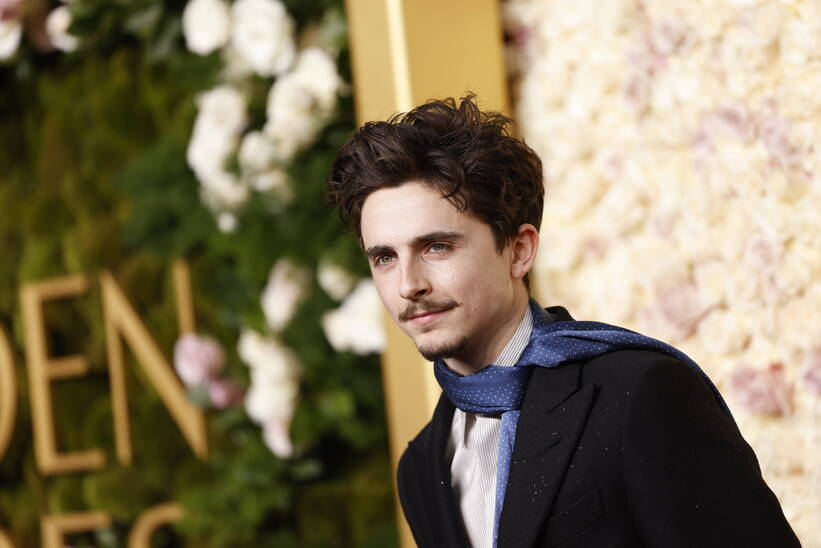 Timothee Chalamet. Fot. PAP/EPA/CAROLINE BREHMAN